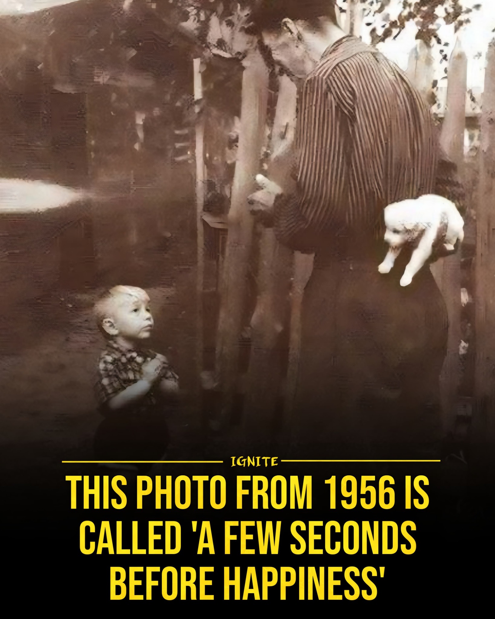 A Few Seconds Before Happiness, photographed in 1956, perfectly