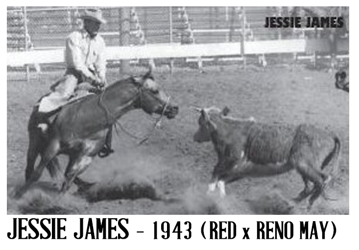 RDVideo - JESSIE JAMES - 1943 (RED x RENO MAY) Stallion Show Record ...
