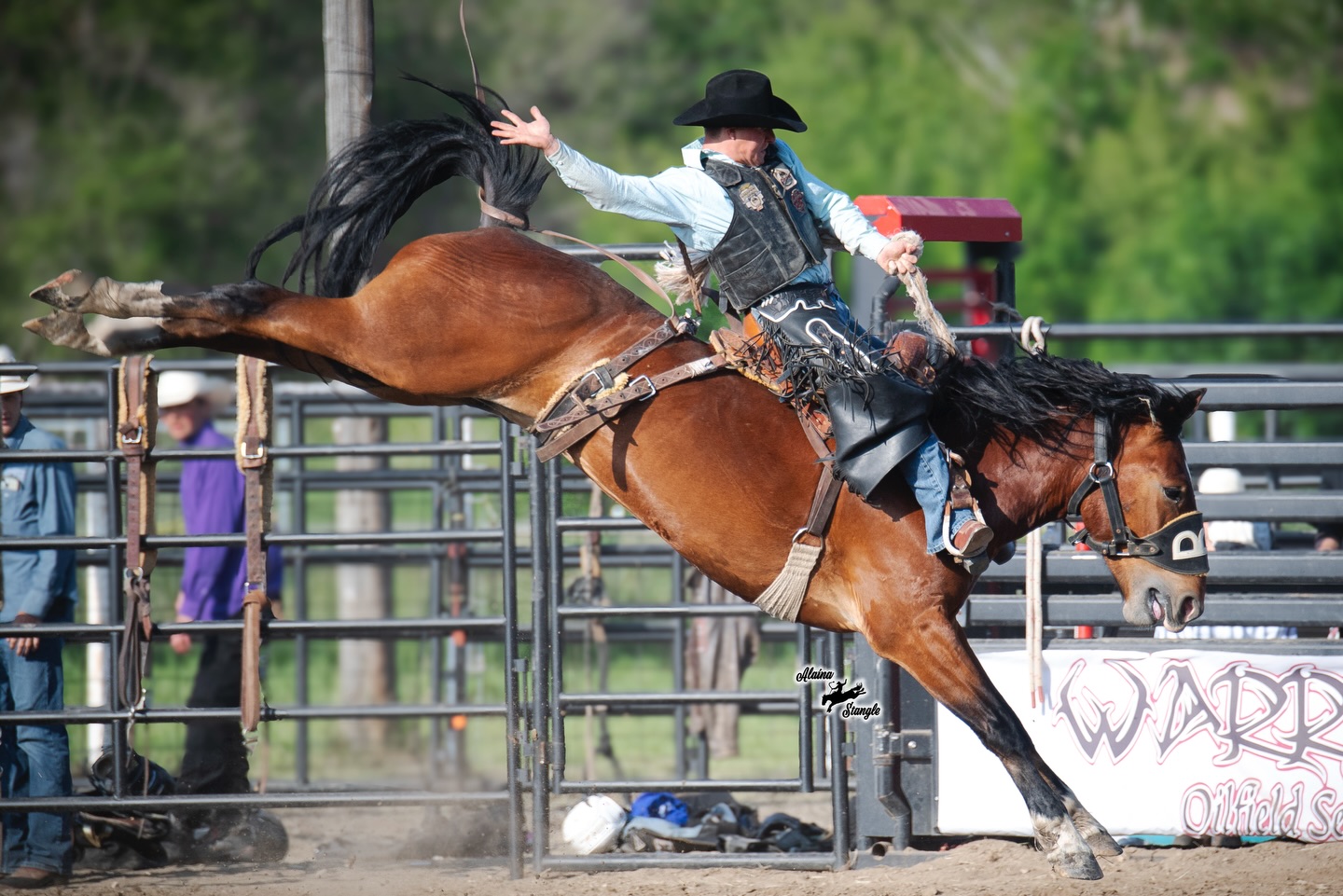 Bailey Pro Rodeo added a new photo. - Bailey Pro Rodeo