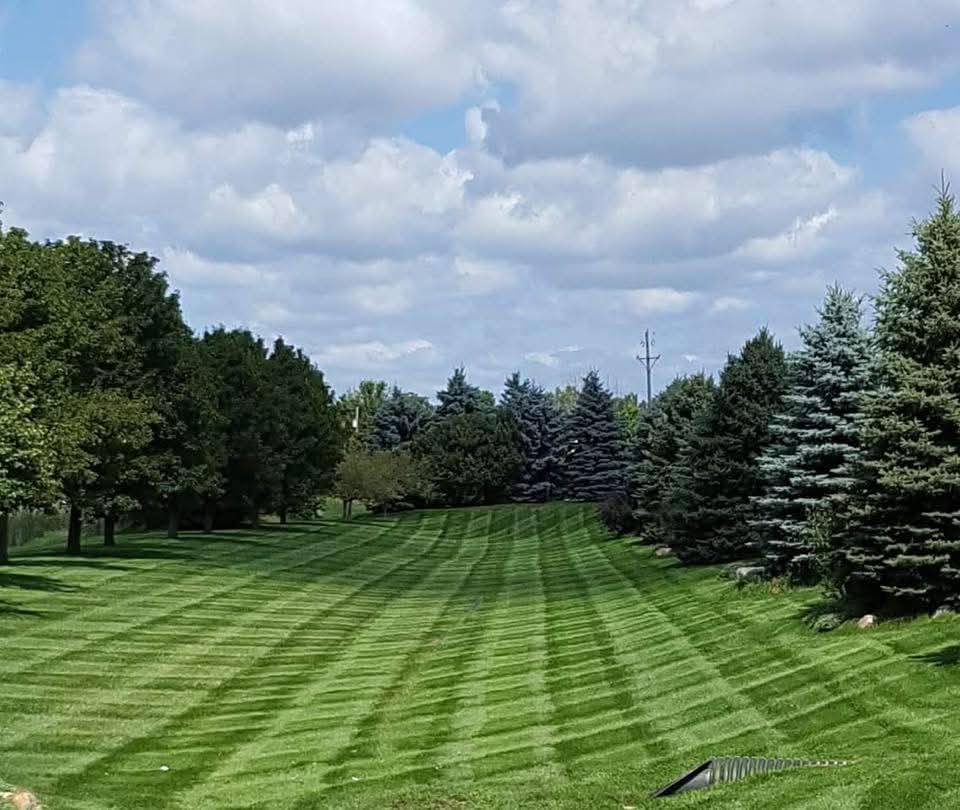 Cut Rite Outdoor Services | Davison MI