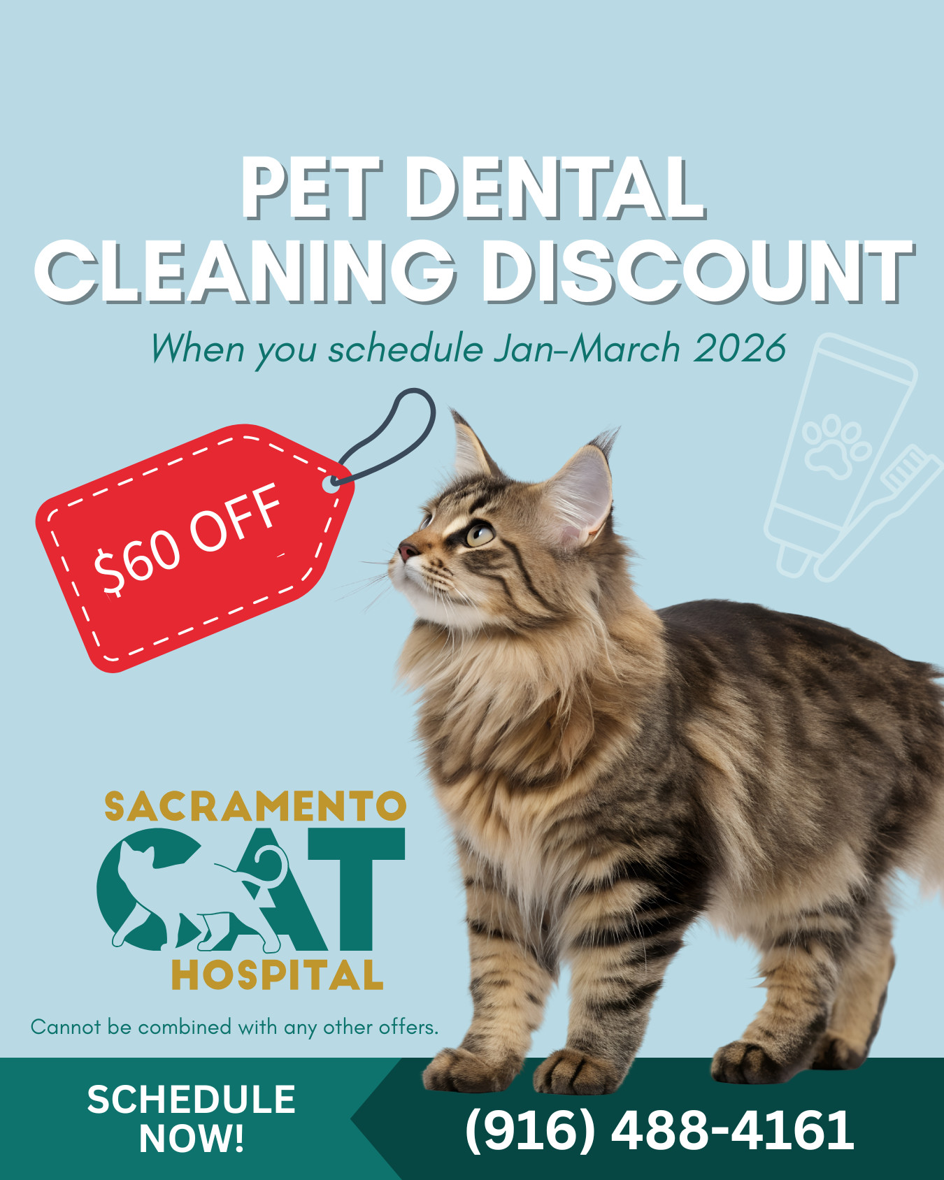 Sacramento Cat Hospital added a... - Sacramento Cat Hospital