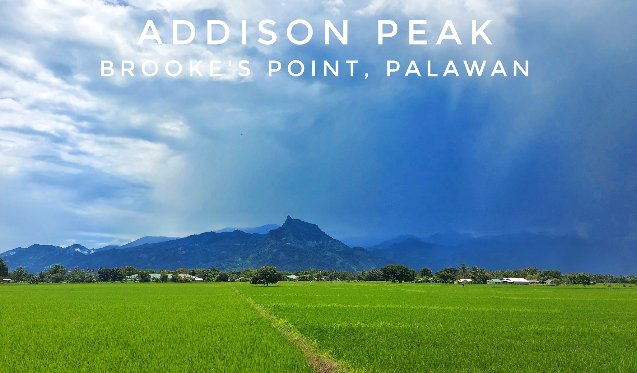 Palawan Muna - Addison Peak, locally known as Mount Maruyog, is the ...