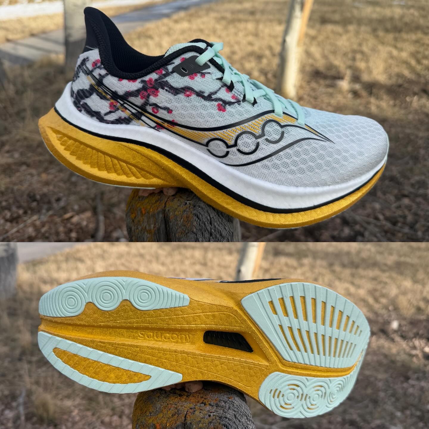 Saucony Endorphin Speed 5 #tokyo #cherryblossoms What do you think