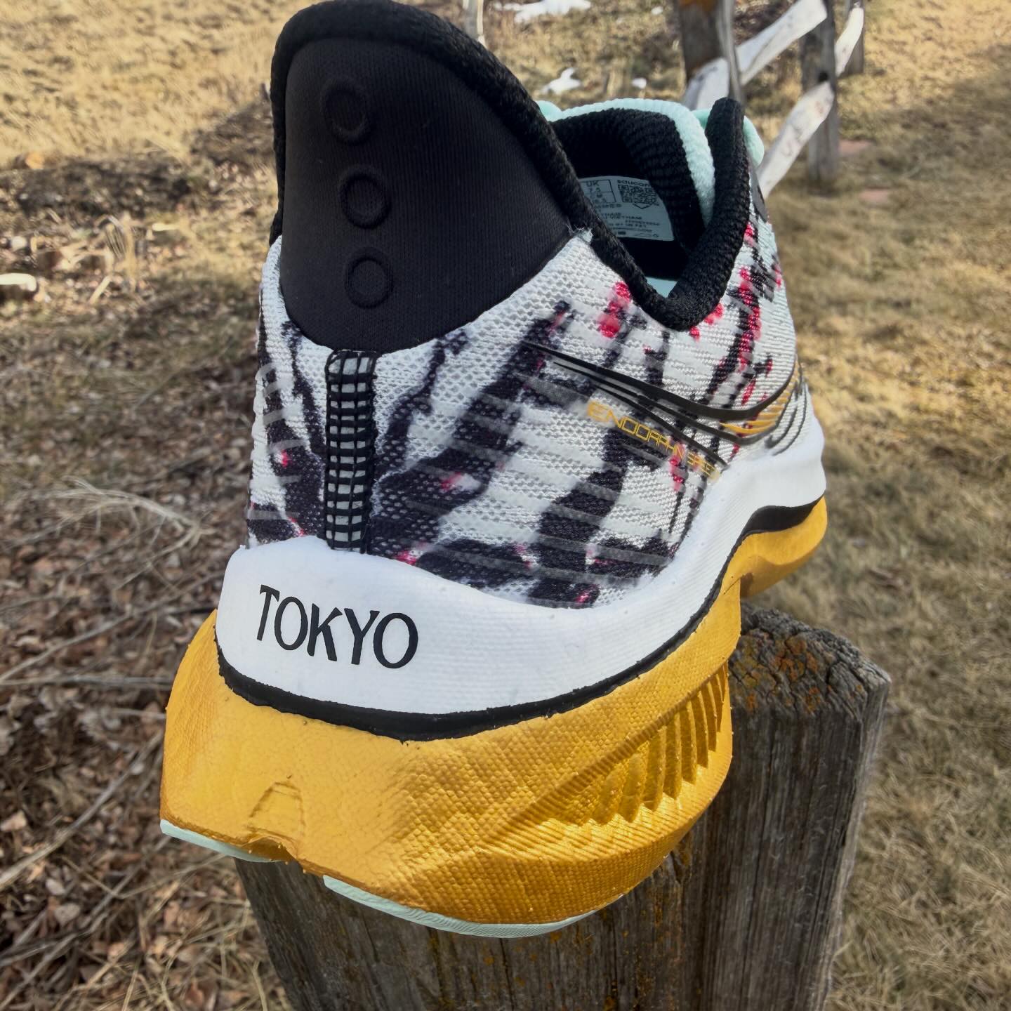 Saucony Endorphin Speed 5 #tokyo #cherryblossoms What do you think