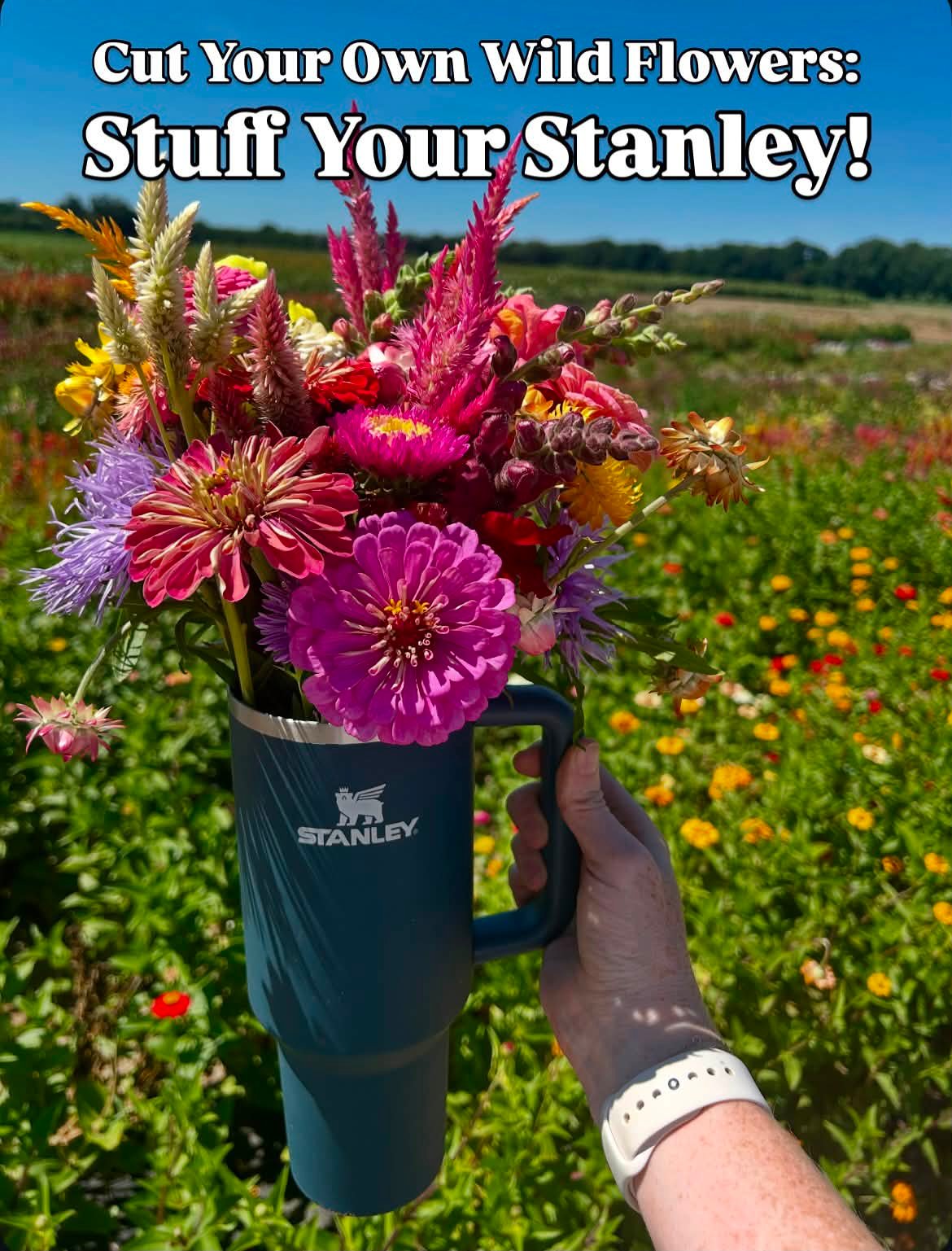 Cut wildflowers in 40 oz Stanley tumbler