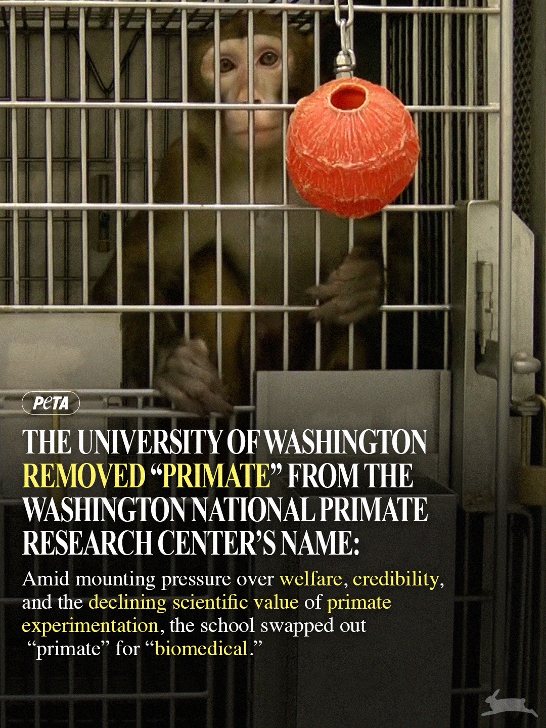 🚨... - PETA (People for the Ethical Treatment of Animals) | Facebook