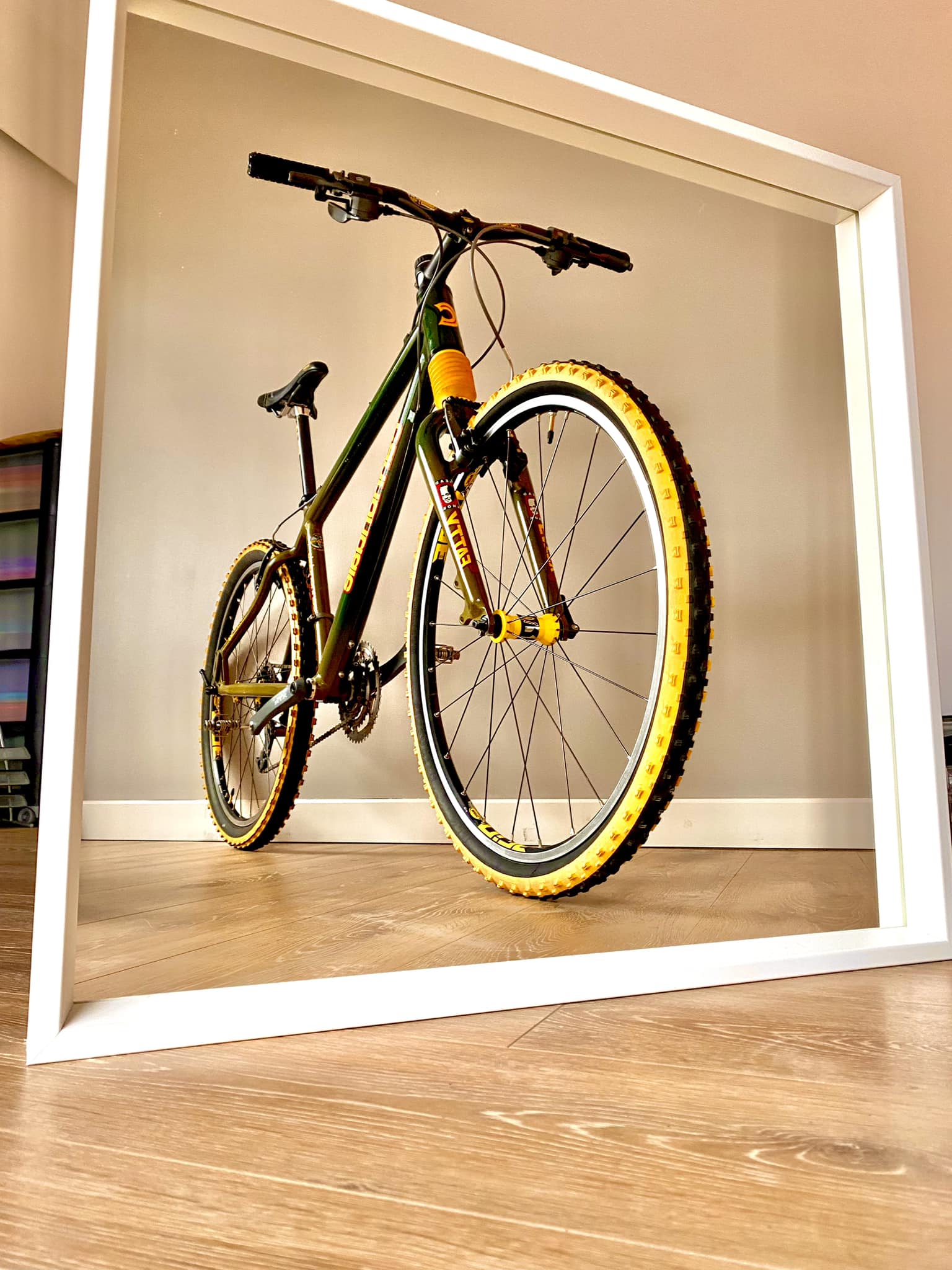 1999 f1000 reptilian My most beautiful cannondale