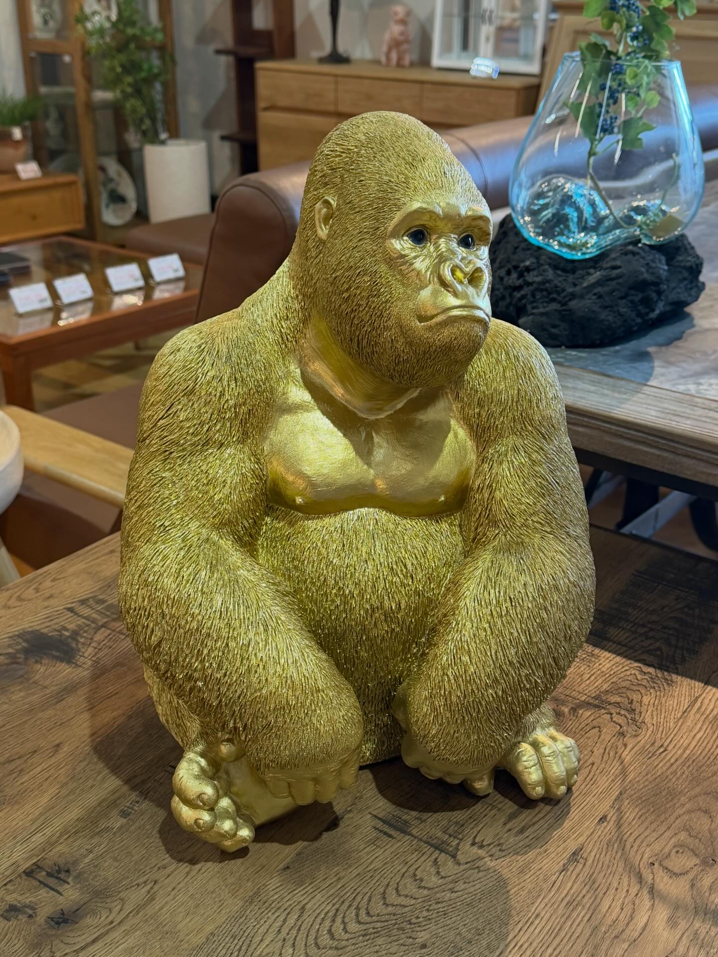 縁起良さそうな金のゴリラ🦍^ ^ #ゴリラの置物 #gorillas #ゴリラの
