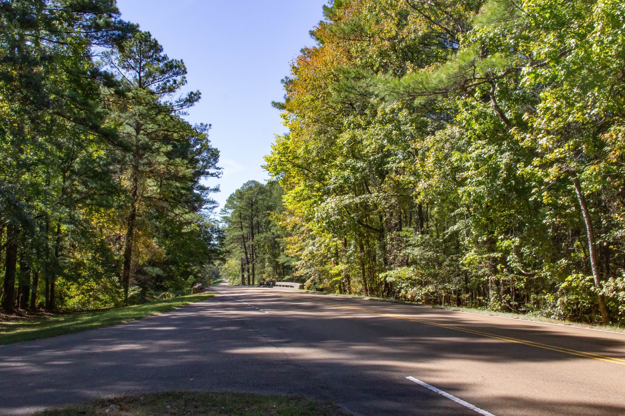 Natchez - “Are we theeree yeeeet?” A trip on the entire Natchez Trace ...