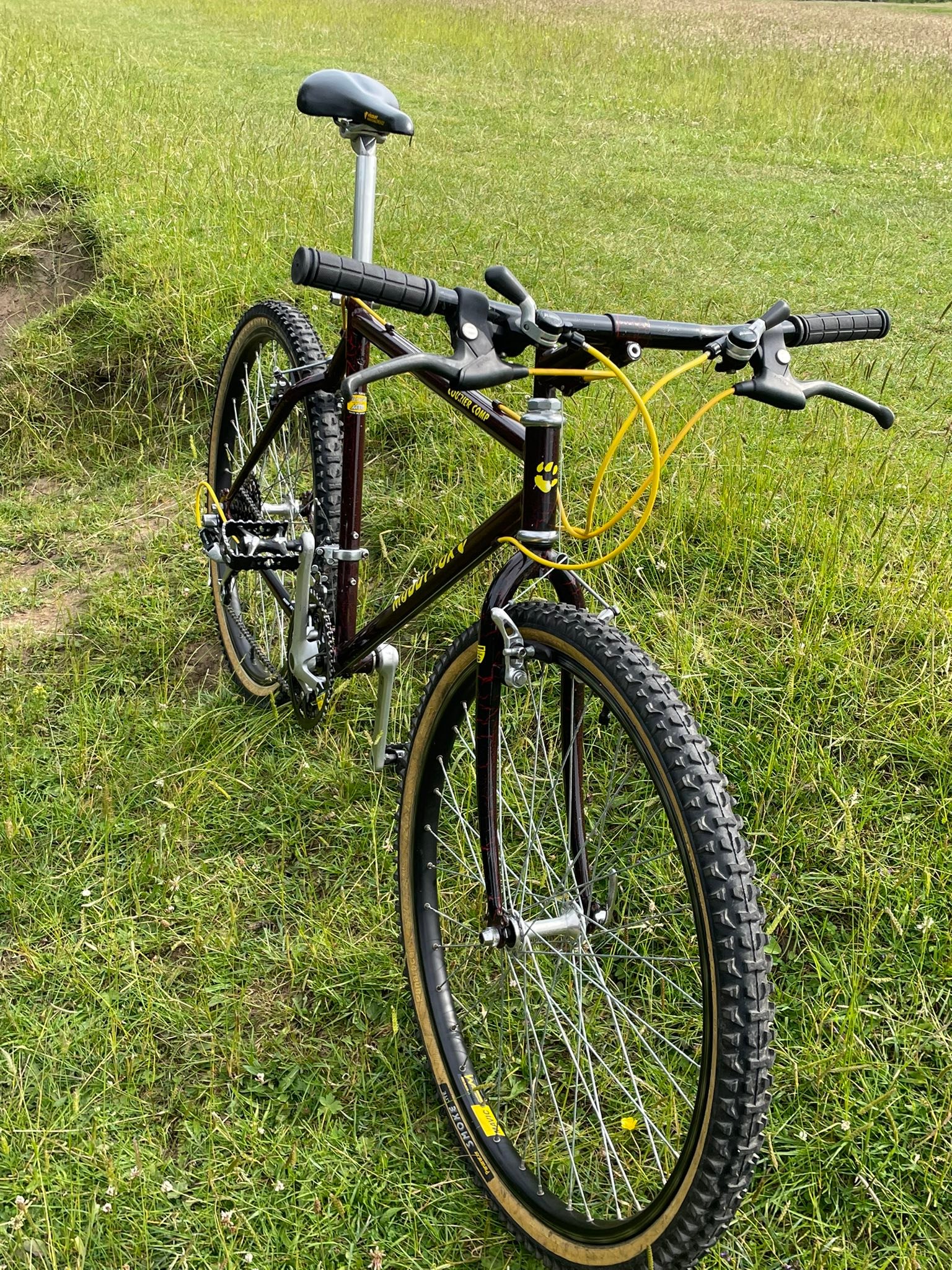 89' old mtb Araya Muddy Fox MF26ELX-G