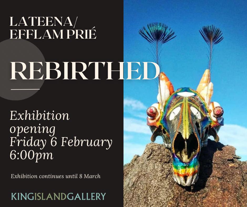 King Island Gallery | Currie TAS