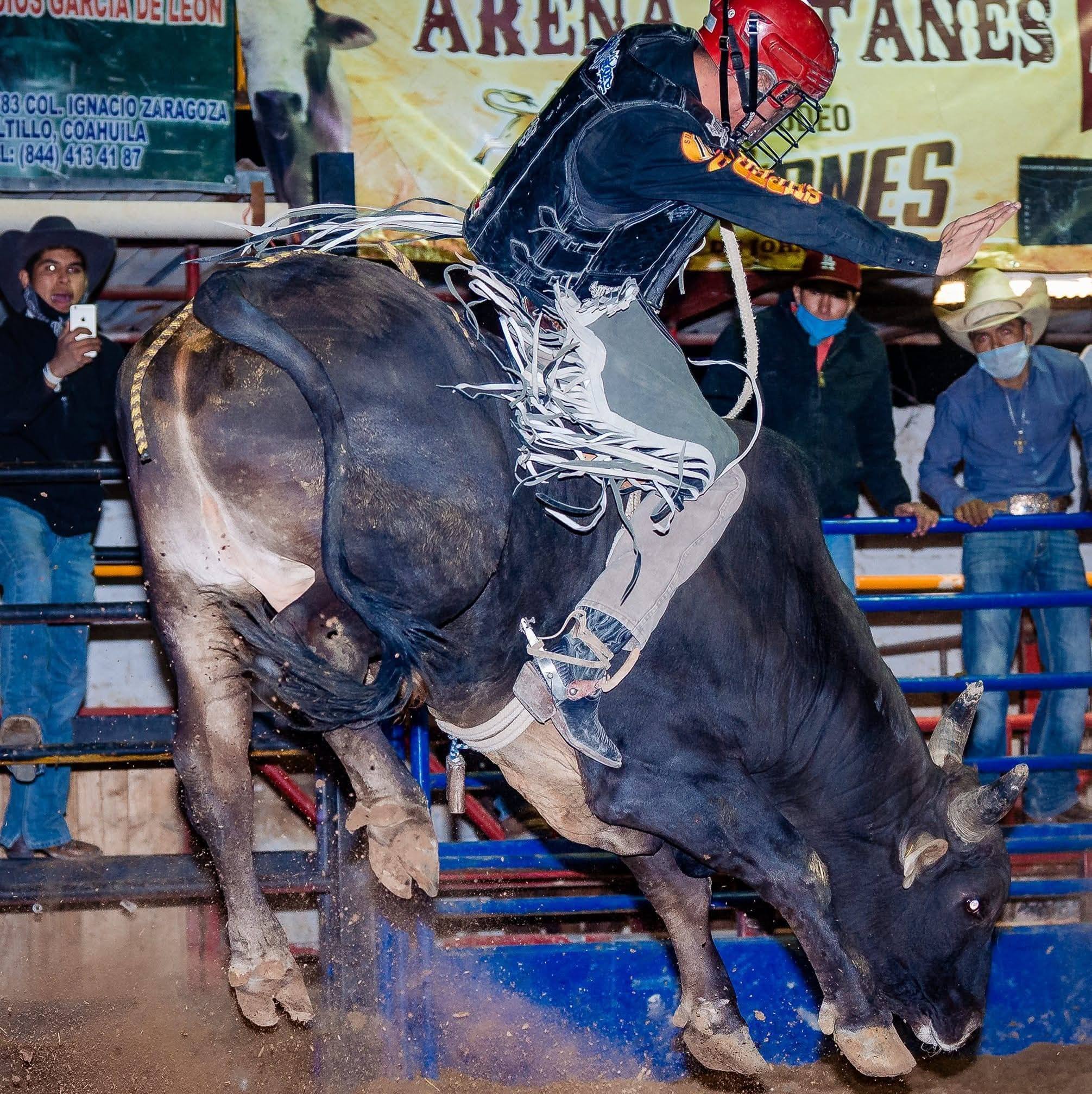 Monster Bull Rodeo
