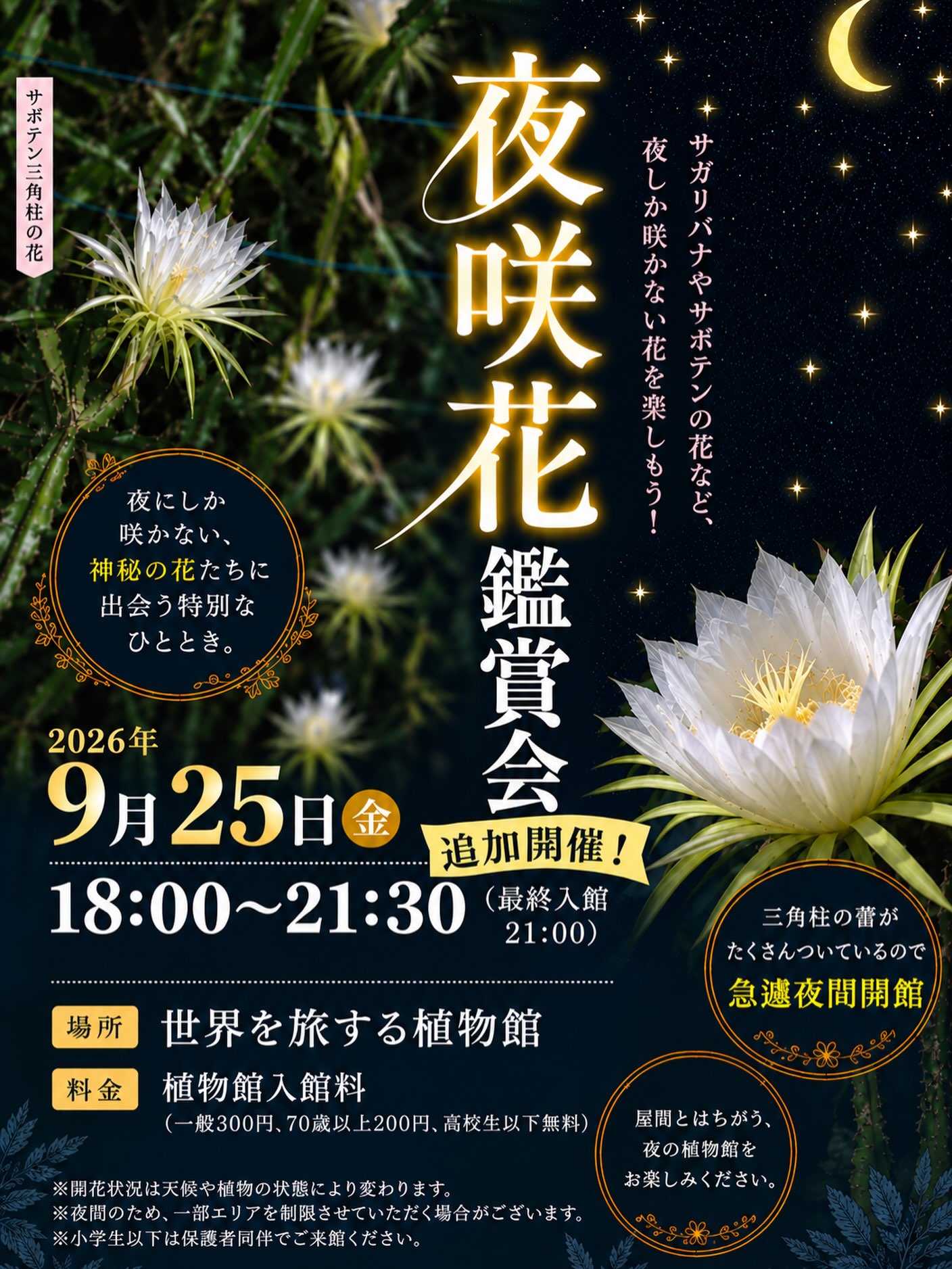 本日25日も三角柱が開花する可能性が高いため、夜間開館します。夜の