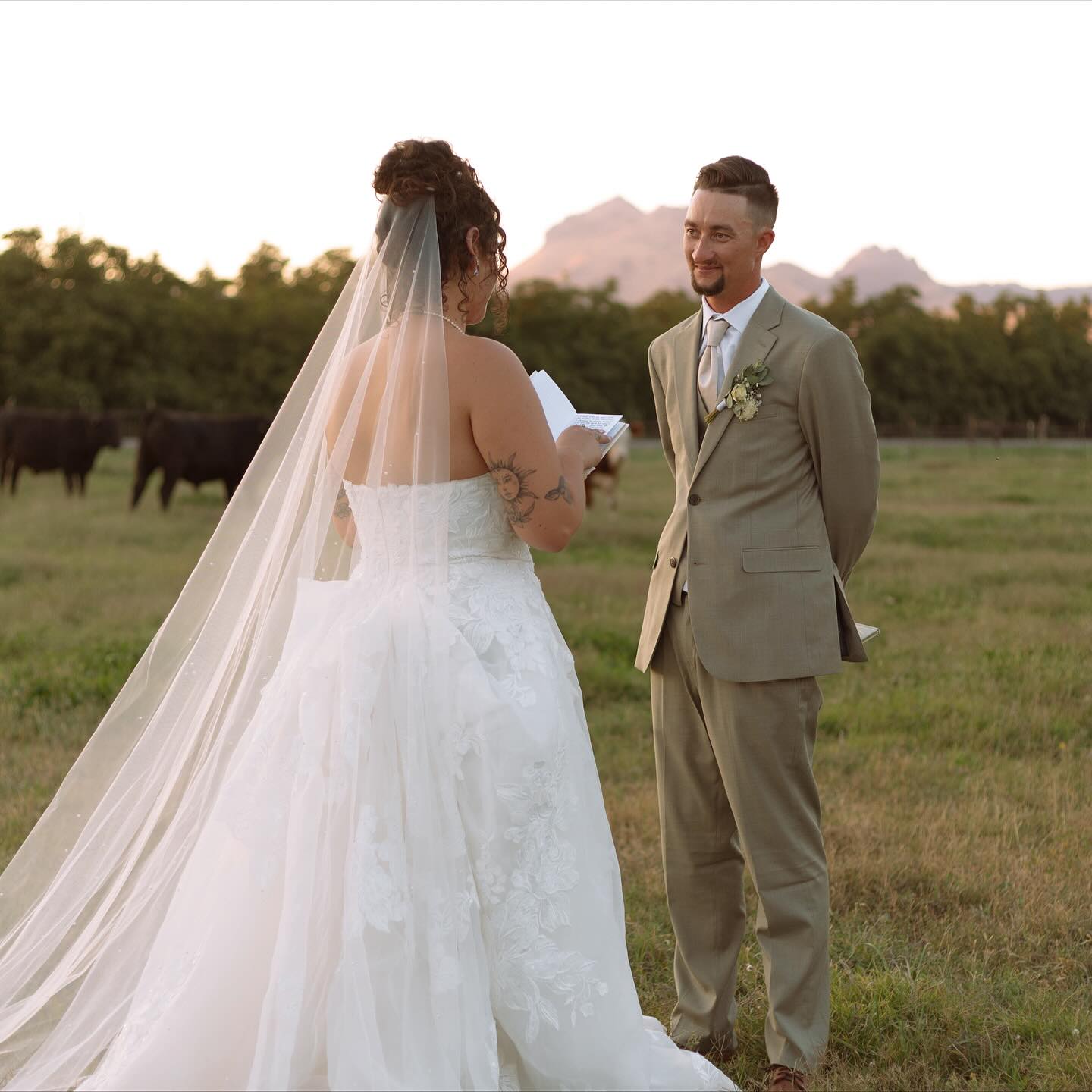 Butte Star Ranch | Sutter CA