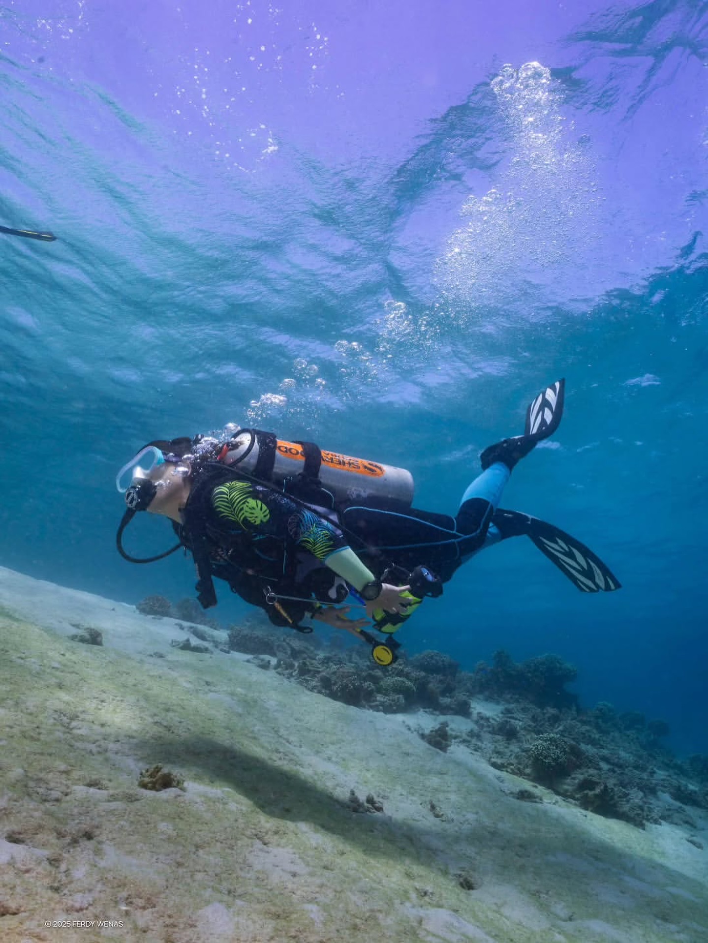 Dive - Inhale the calm, exhale the chaos — the ocean teaches me how 🌊 ...