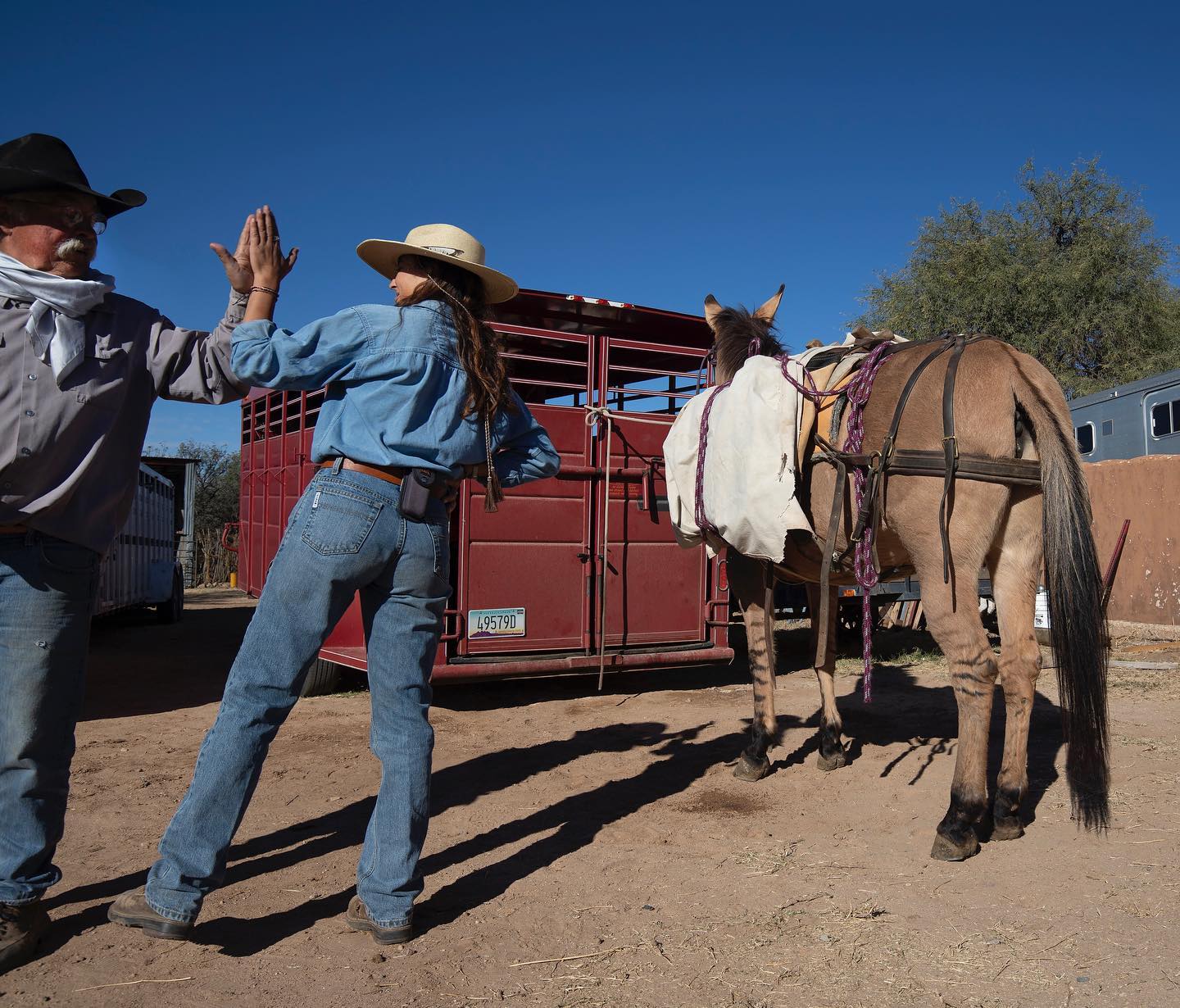 True - Come work with us at our True Guest Ranches 🤠 We are hiring for ...