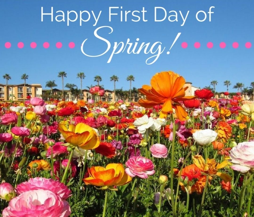 Ginger - It's about time! HAPPY FIRST DAY OF SPRING!! 💐 🌹 🌸 🏵 🌼 💐 ...