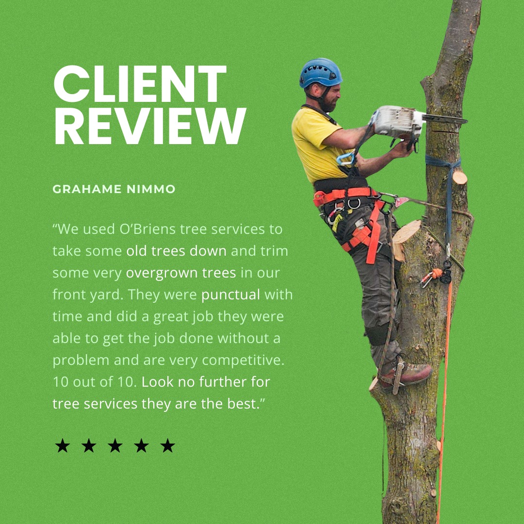 O'Briens Tree Services | Curtin ACT