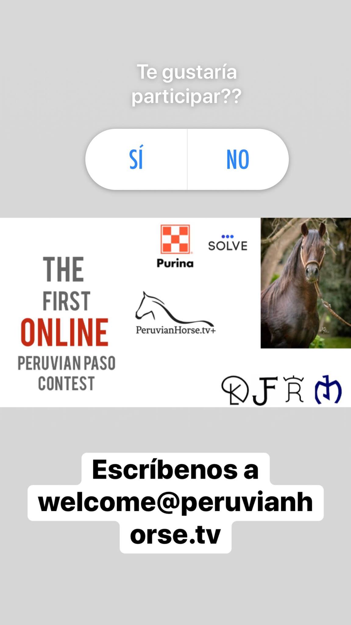 [🐴 COTEJA ONLINE 🐴] 🇵🇪🇦🇷🇪🇨🇭🇳🇬🇹🇺🇸... - Peruvian Horse.TV+