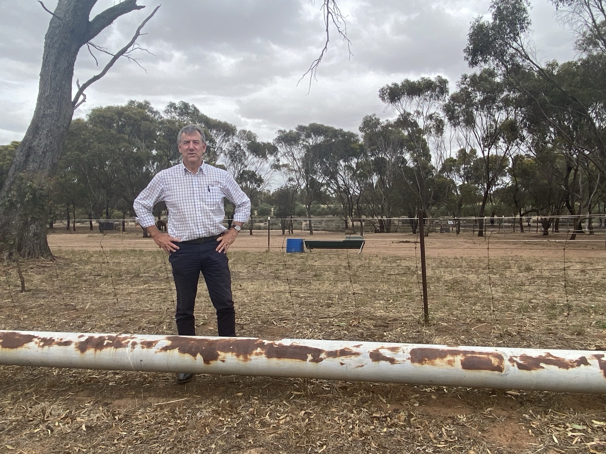 GOVERNMENT CARTING WATER TO WA'S... - Peter Rundle MLA | Facebook