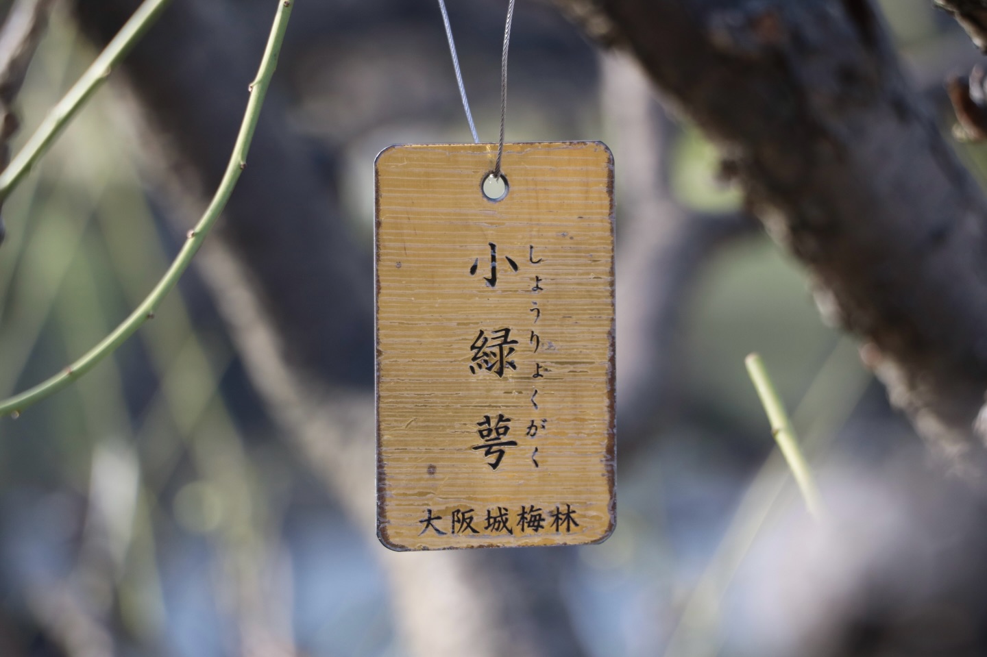 大阪城公園 - \学芸員による展示解説動画を公開しています/ 大阪城天守閣で現在開催中の正月展示「『民の力』と大阪城」の解説がご覧いただけます ...