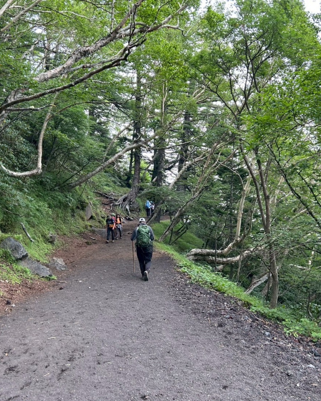 李 良枝 文学 碑