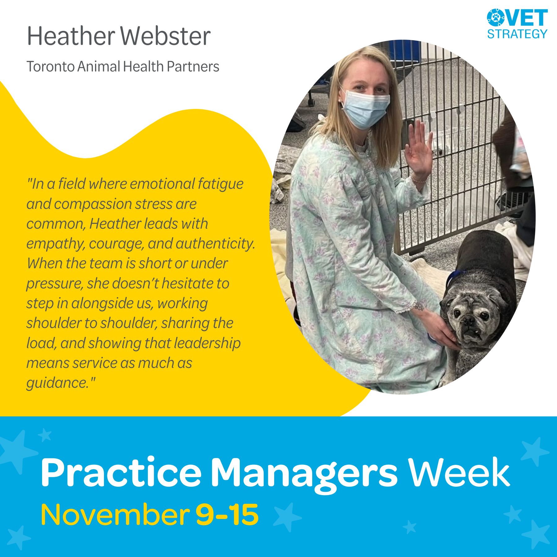 VetStrategy - 🌟Meet some of our Daring Leaders🌟 From... | Facebook