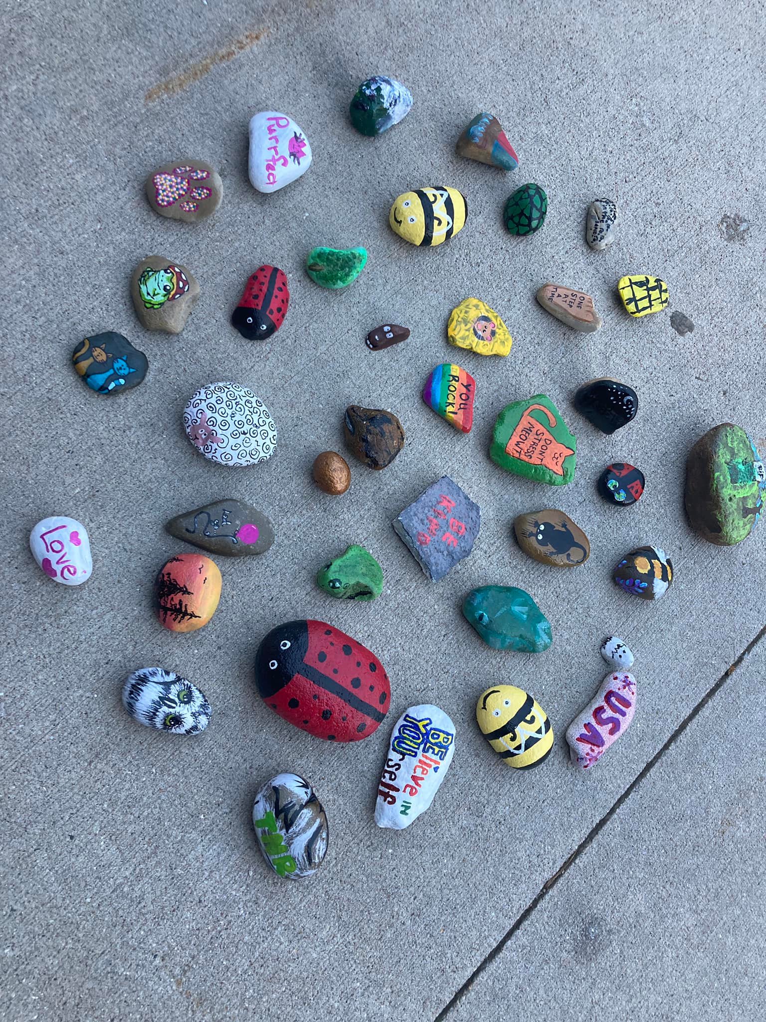 Our community ROCKS!!! We’ve been... - Central Cat Coalition