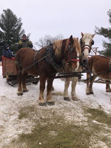 Red Ridge Ranch Riding Stable | Mauston WI