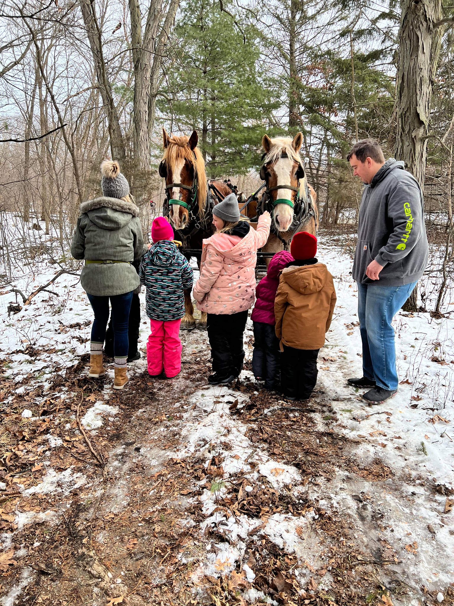 Red Ridge Ranch Riding Stable | Mauston WI