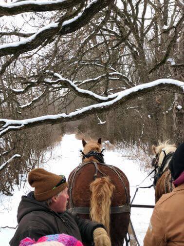 Red Ridge Ranch Riding Stable | Mauston WI