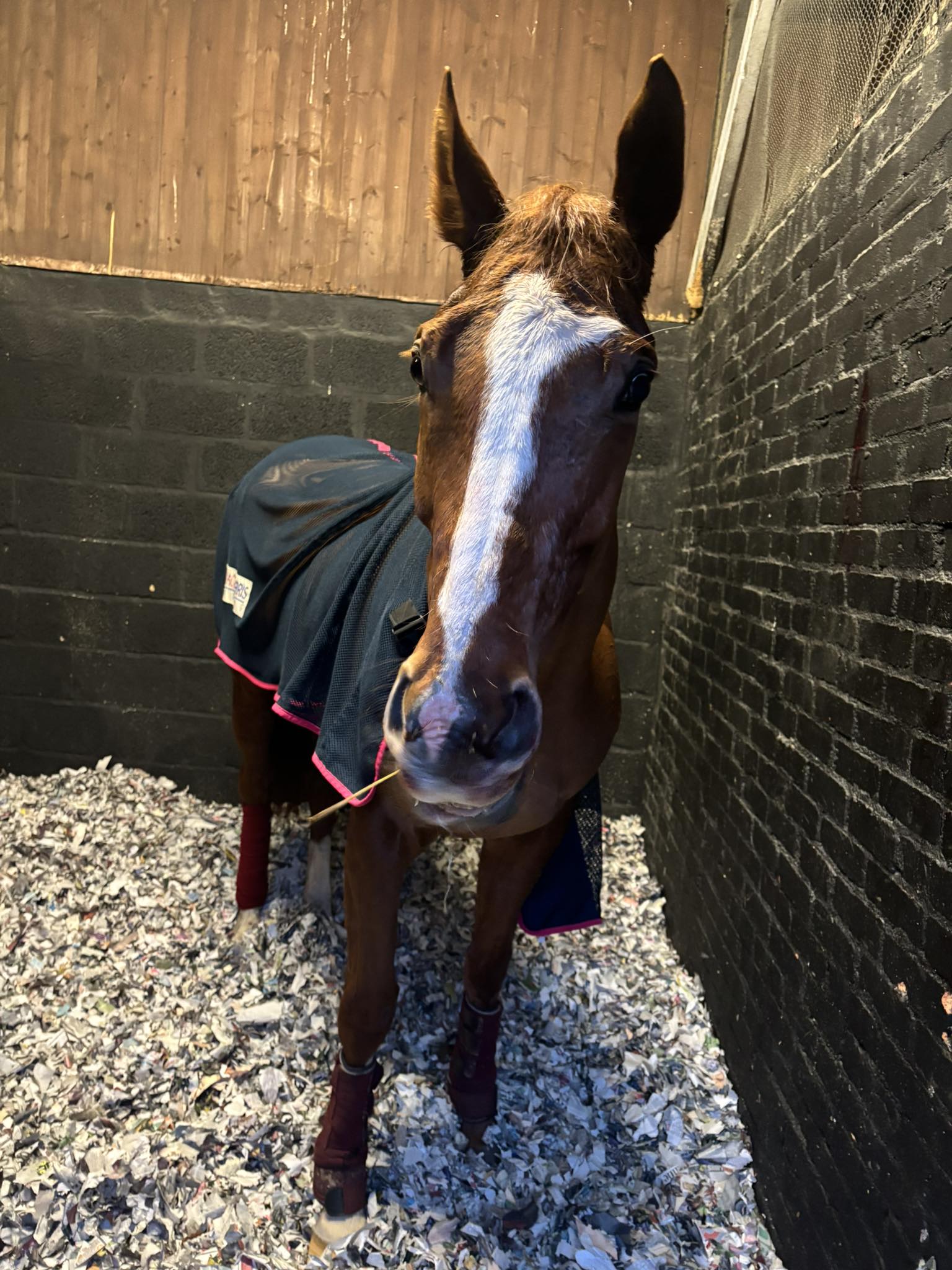 We are pleased to report the Big... - Grace Harris Racing | Facebook