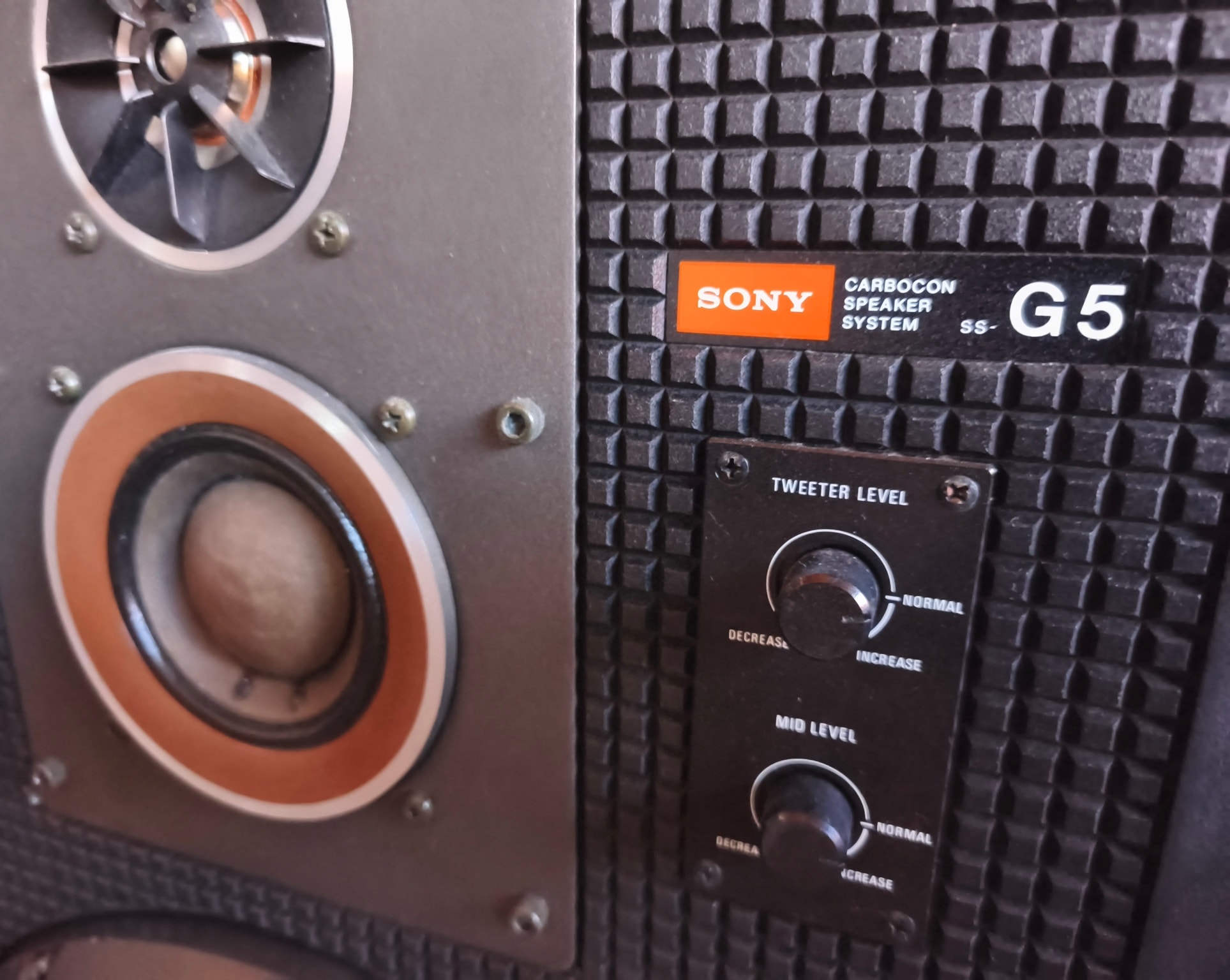 Sony SS G5, mantención lista y entregados a su dueño. Cristian