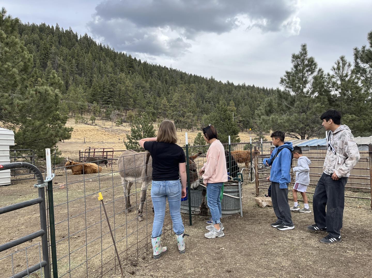Little J Ranch Farm... - Little J Ranch Farm Sanctuary
