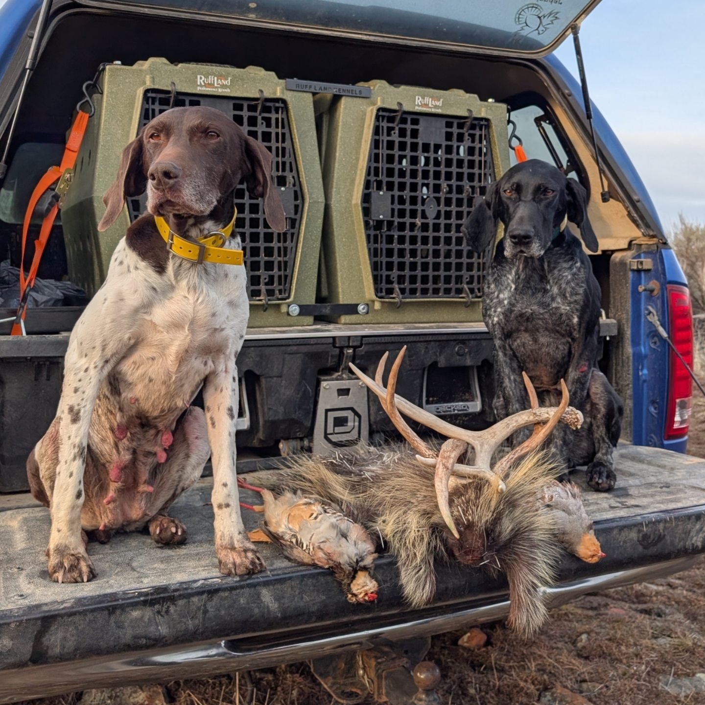 4 of my nephews and my oldest... - Table Rock Kennels | Facebook