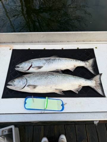 Bon Chovy Fishing Charters... - Bon Chovy Fishing Charters
