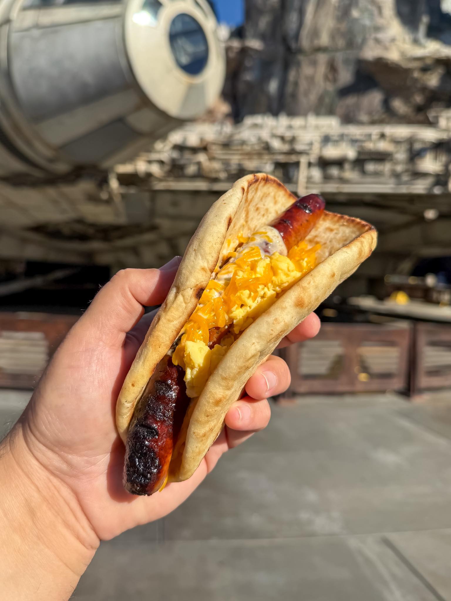 Food - The Ronto Morning Wrap from Ronto Roasters in Disneyland $13.99 ...