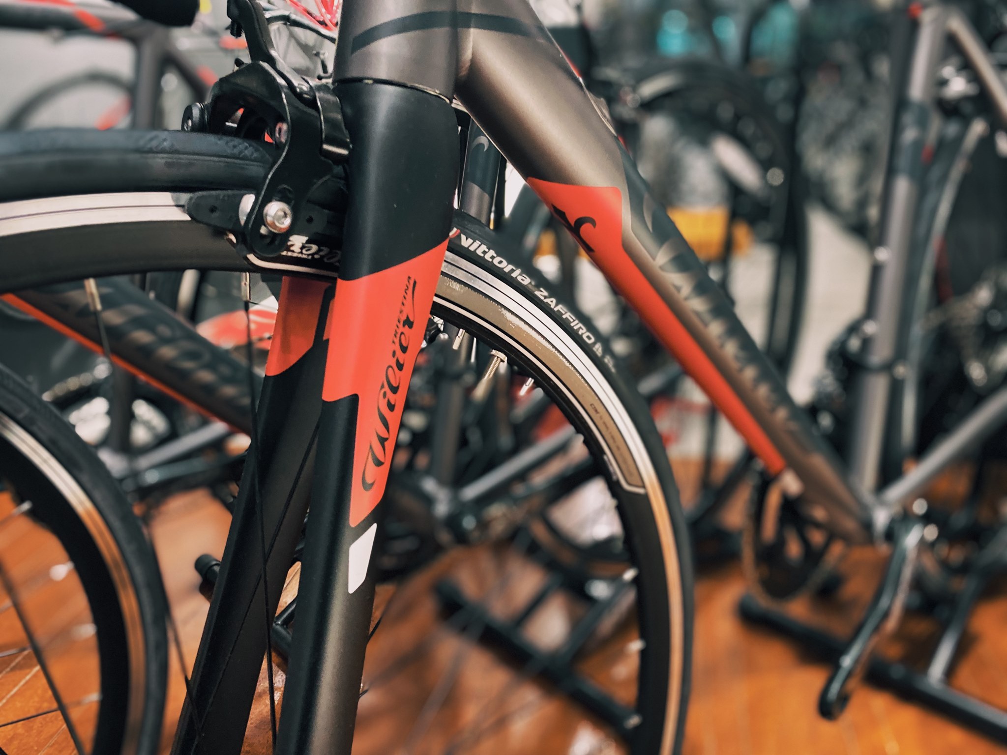 Wilier Montegrappa has arrive in various size XS/S/M/L with
