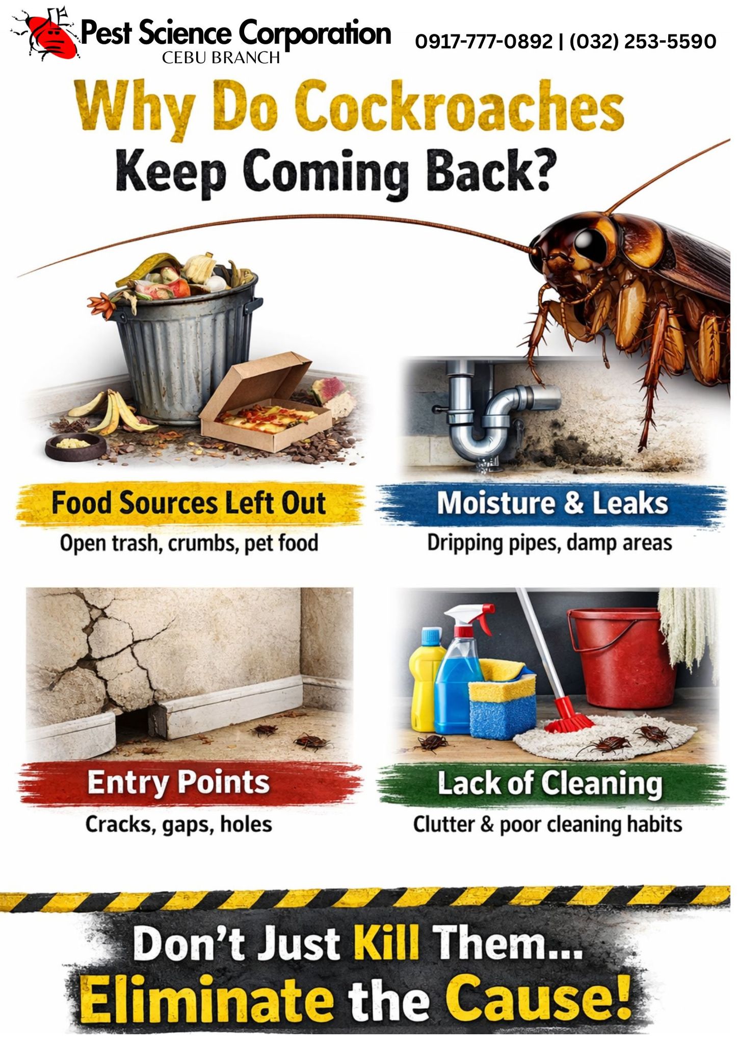 🪳 Why do cockroaches... - Pest Science Corporation - Cebu | Facebook