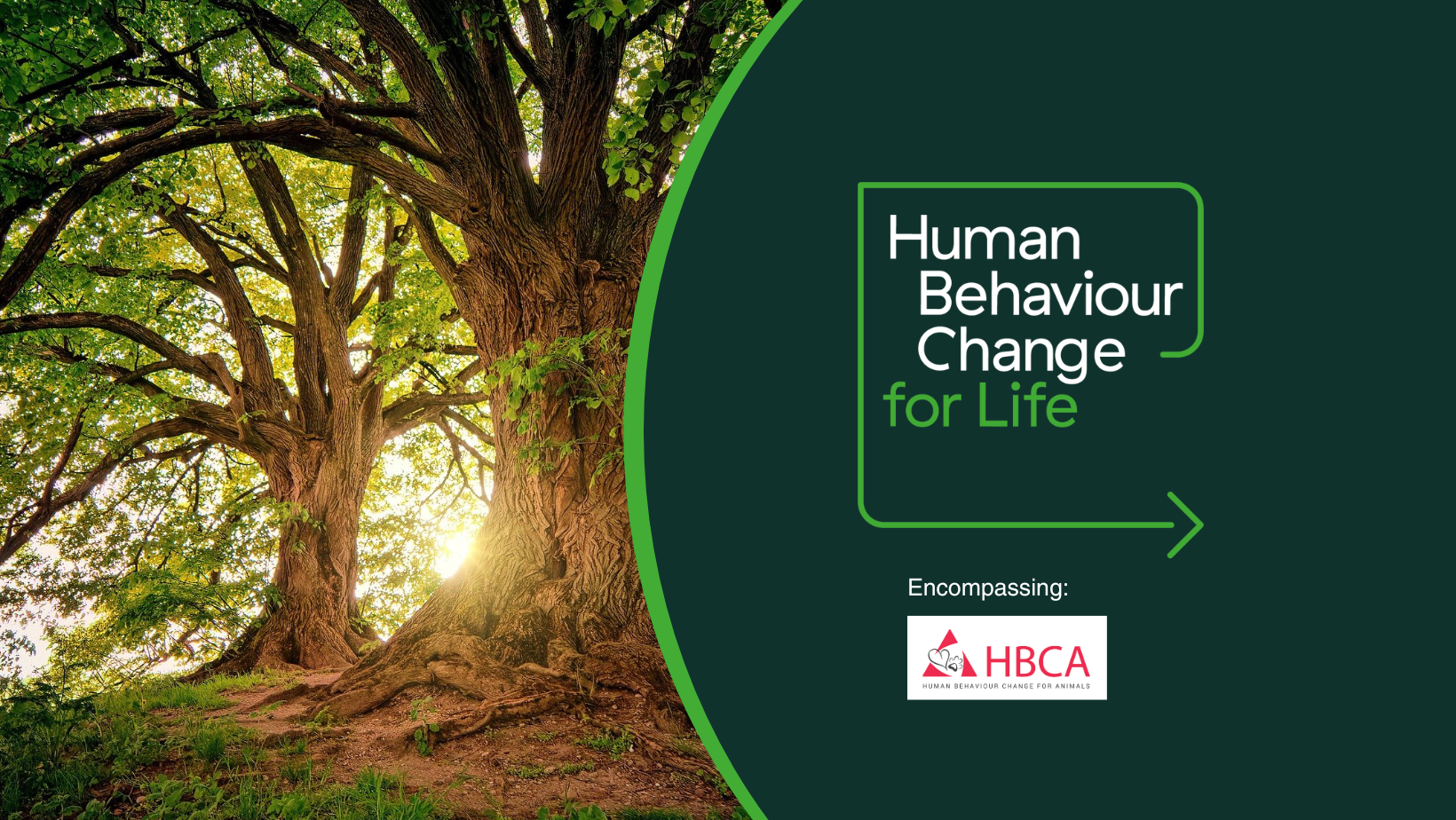 HBCL's Behaviour Change Conference Week