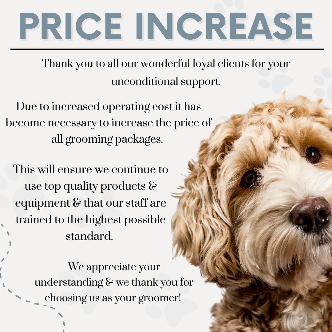 Curated visual reference: Visual Reference: Paws And Whiskers Pet Salon And Boarding