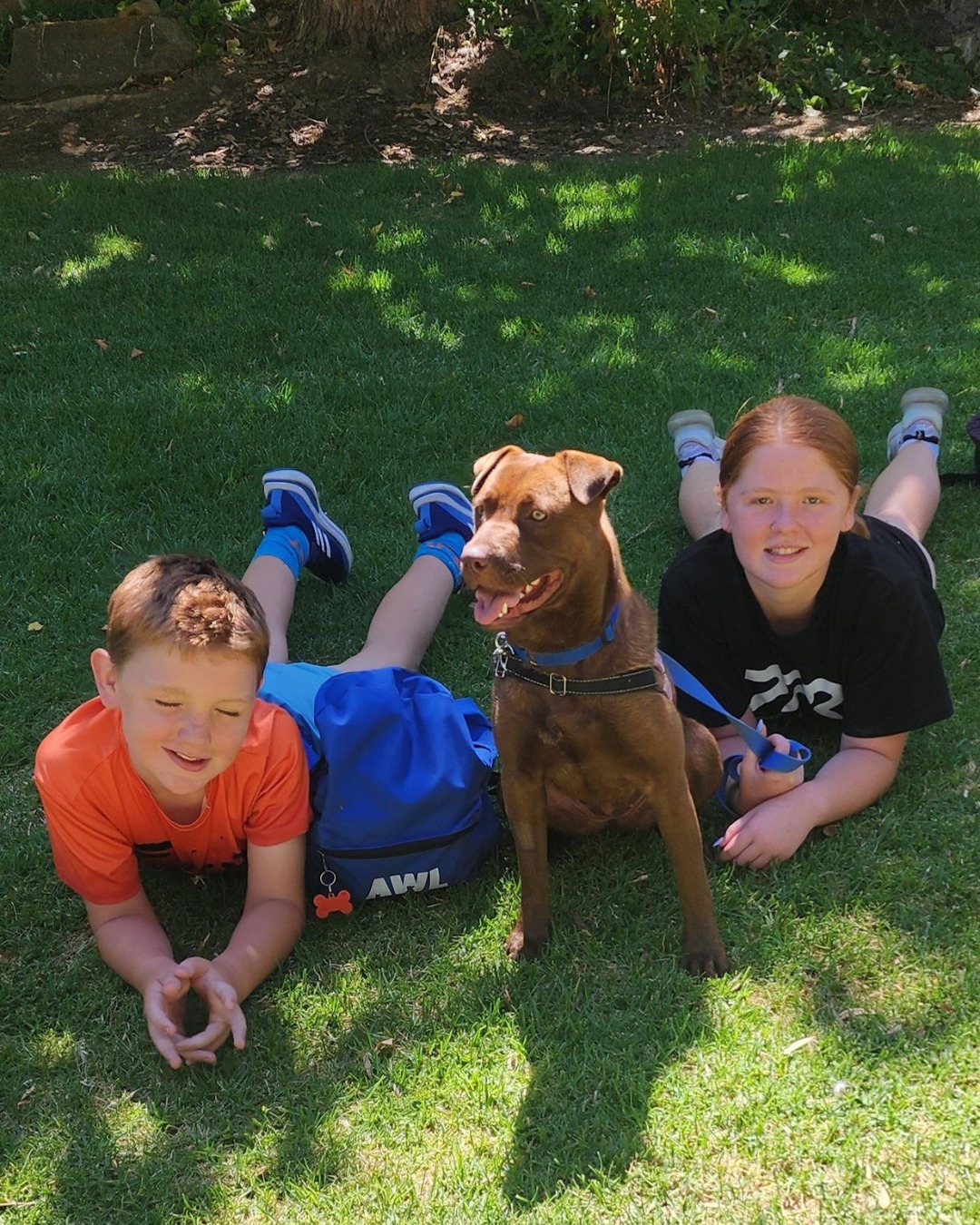 Animal Welfare League SA added... - Animal Welfare League SA