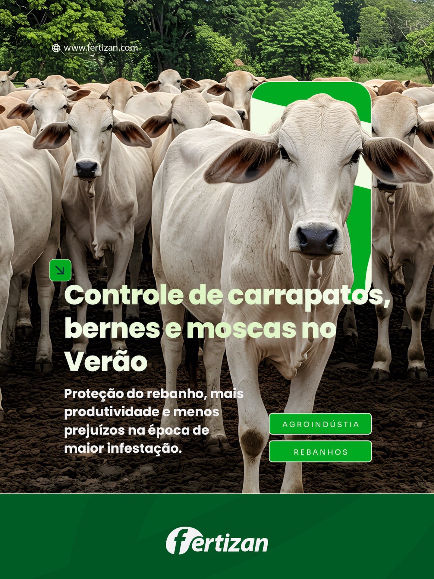 Fertizan Insumos Agrícolas... - Fertizan Insumos Agrícolas