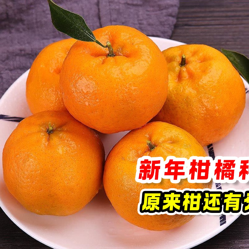 8guava.com - 大吉大利，全“橘”稳定！🍊 原来新年柑有分这么多种类？... | Facebook
