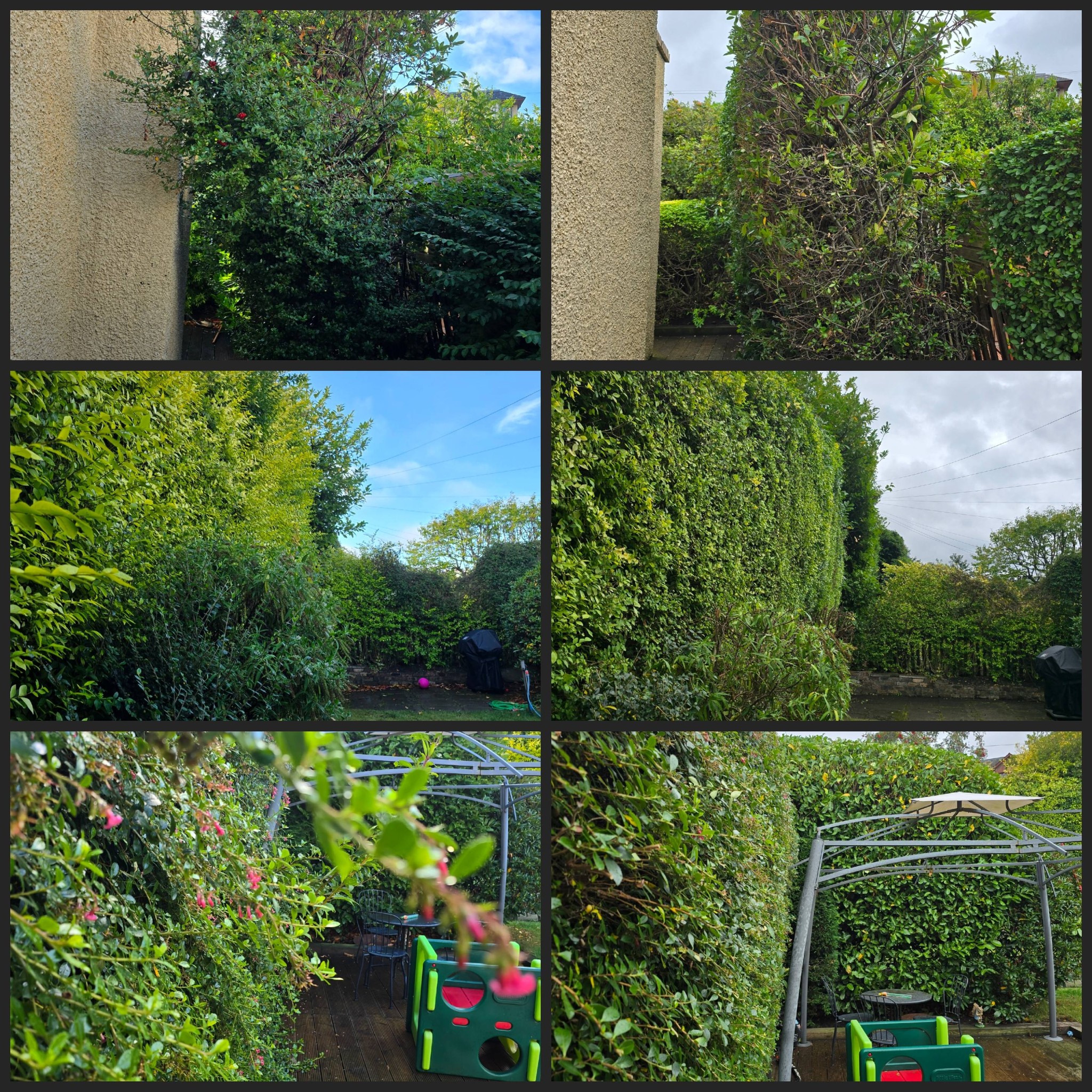 JR garden maintenace | Edinburgh