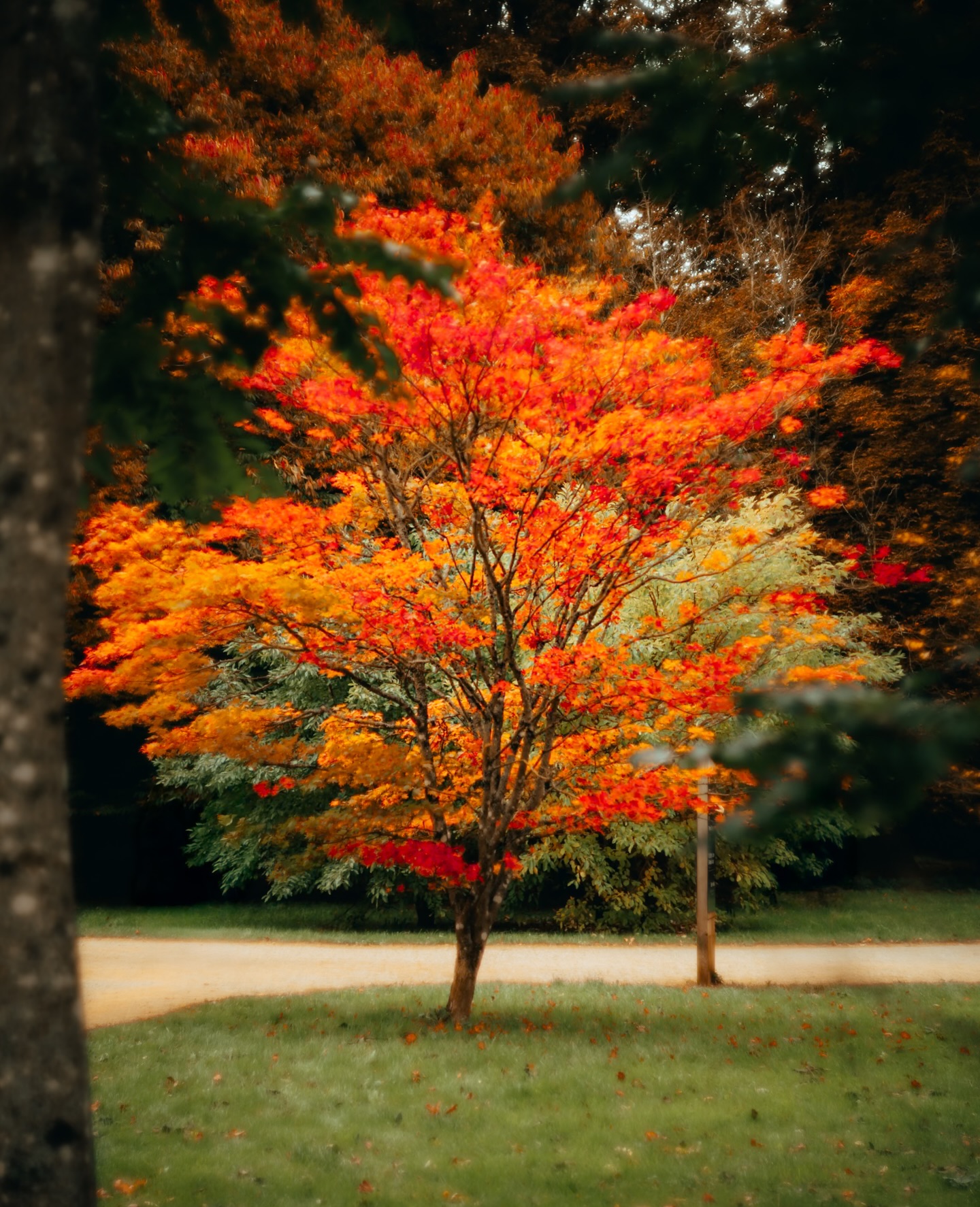 robert-beasley-photography