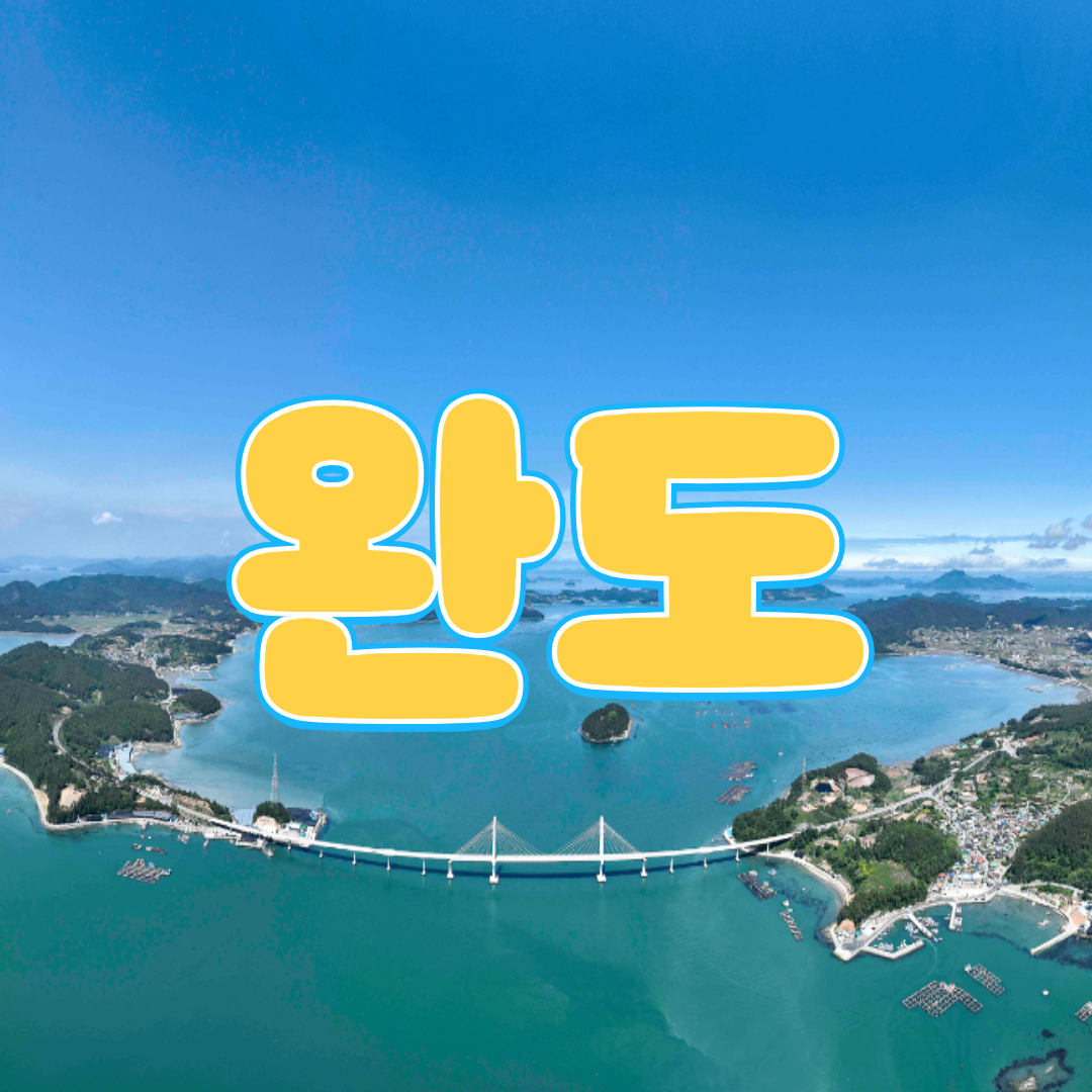 완도군 - 🌊올여름 강렬한 스포츠 축제 ‘크로스핏 전국 대회’가 완도에서 열립니다! 전국은 물론 아시아... | Facebook