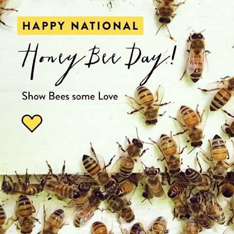 Bee the Change - Happy National Honey Bee Day!! 🙌💪🐝 Show bee's and ...