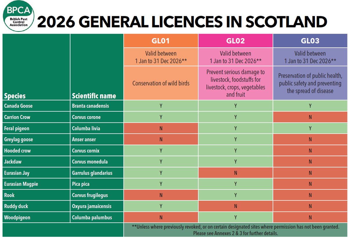 British - If you carry out bird work, make sure you’ve checked the 2026 ...
