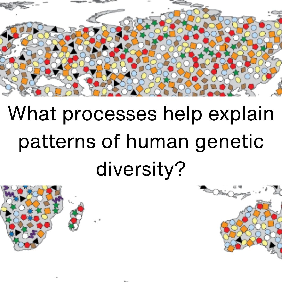 BioInteractive - Although people often focus on what makes... | Facebook